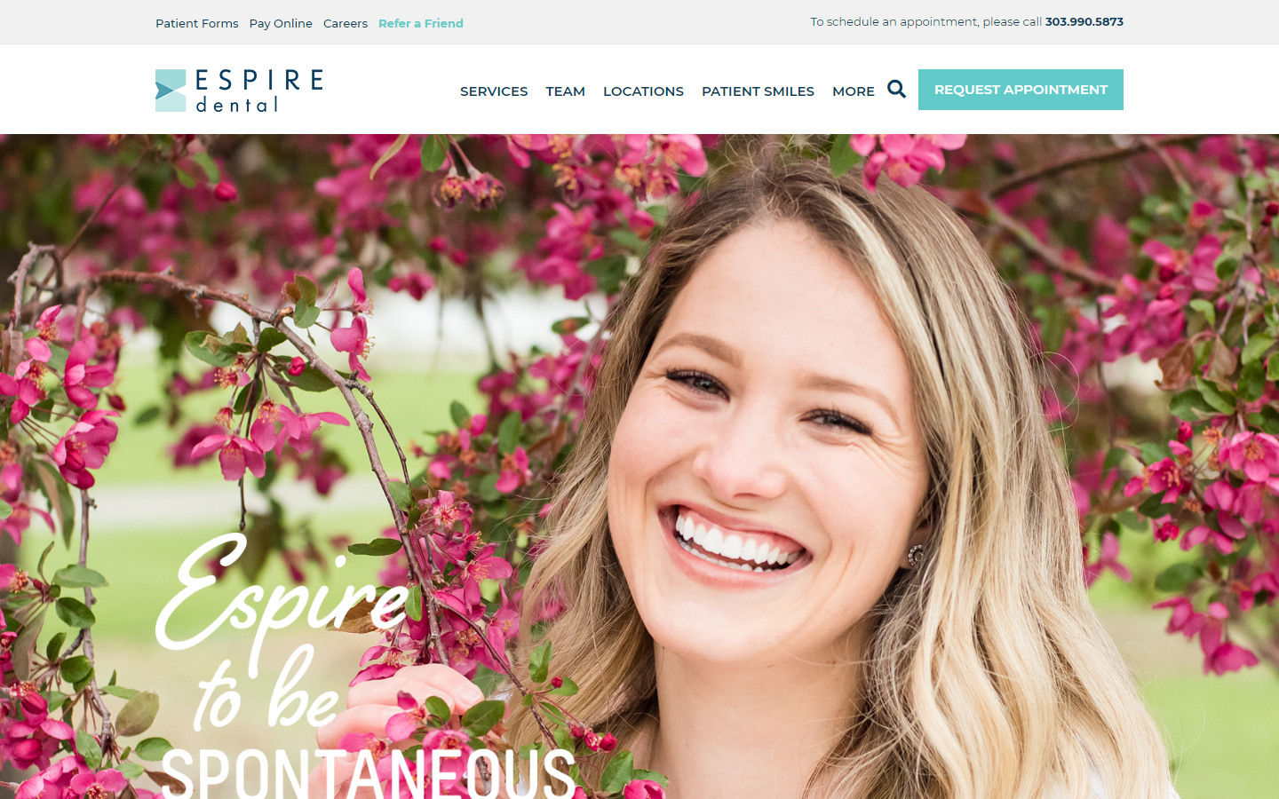 Espire Website