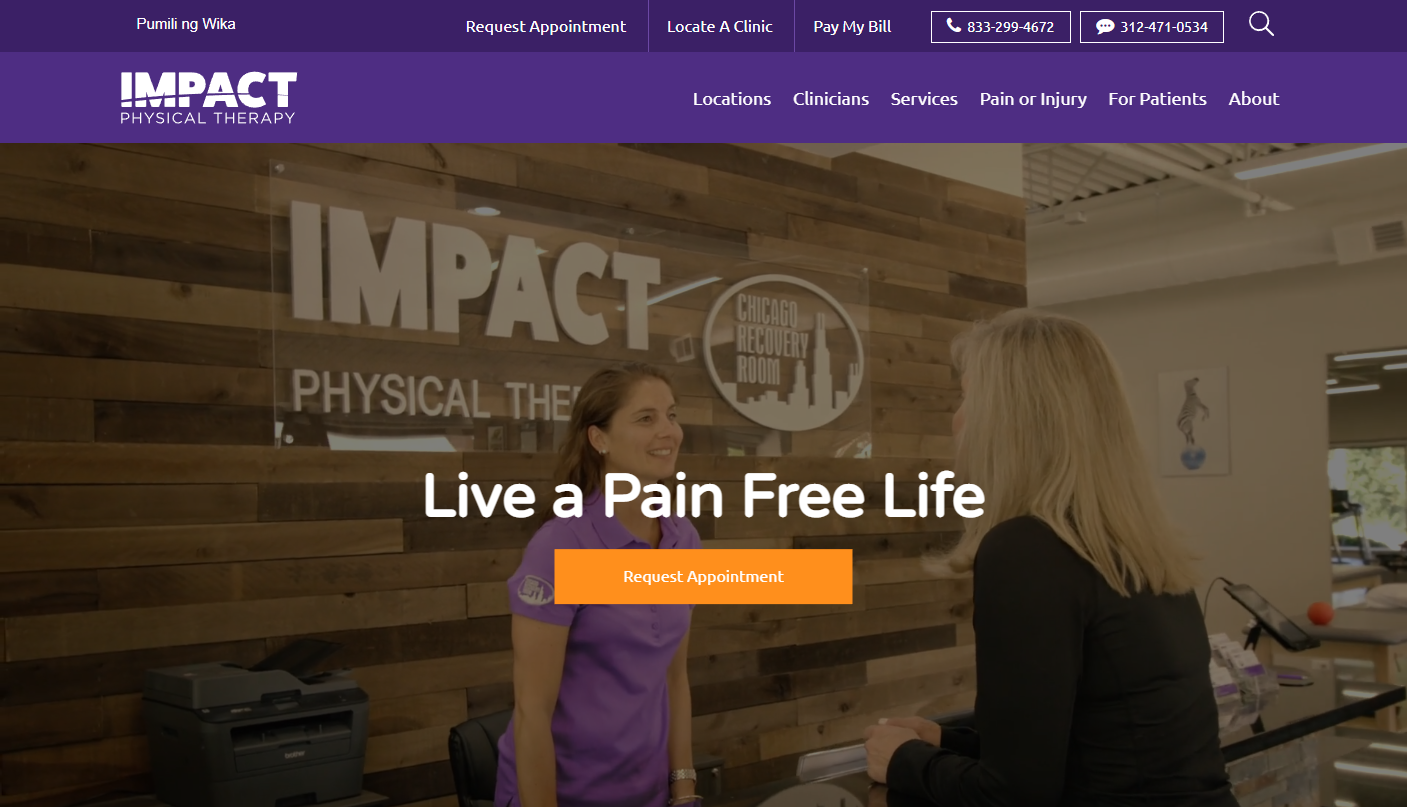 Physical therapist websites