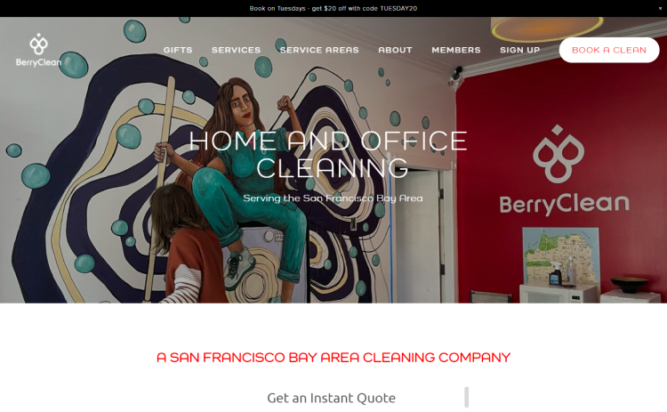 Berry Clean a Well-Designed Carpet Cleaning Websites