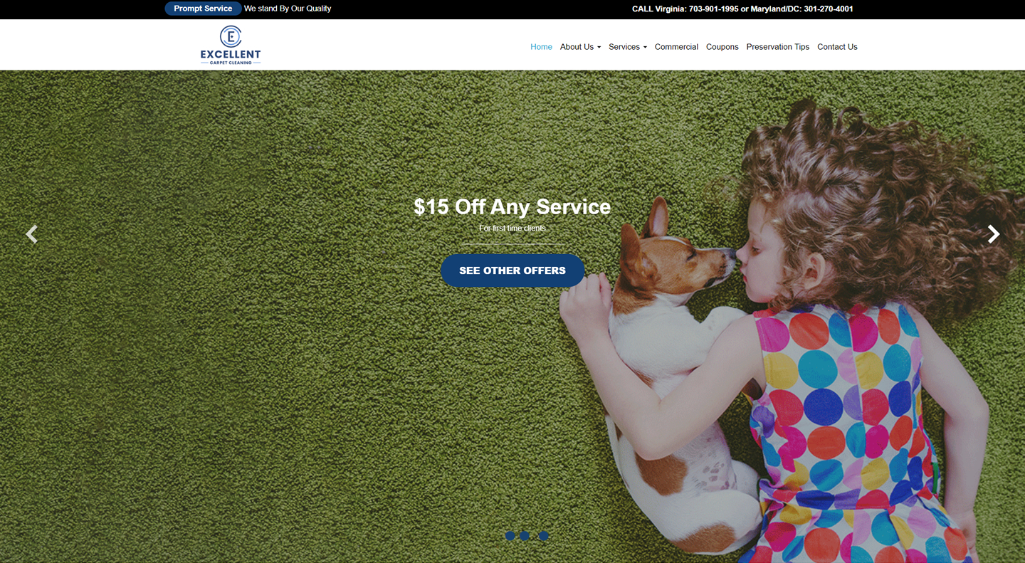 Excellent Carpet Cleaning Website