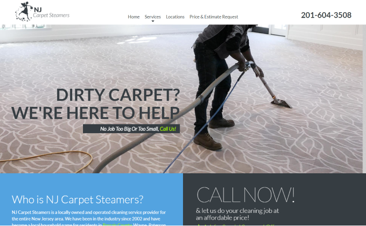 Best NJ Carpet Steamers website