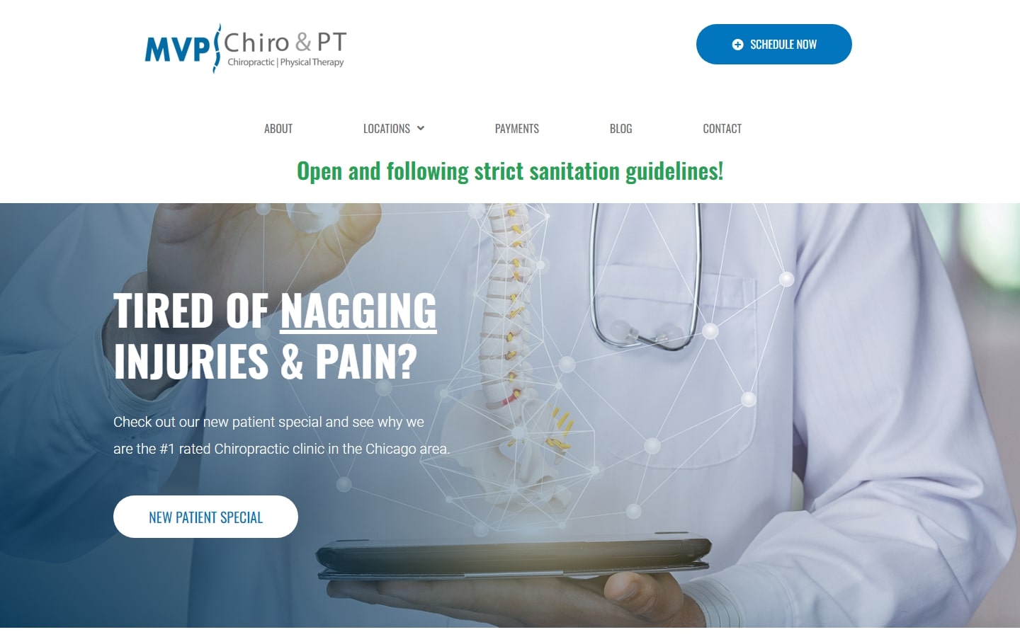 Top Chiropractic Websites