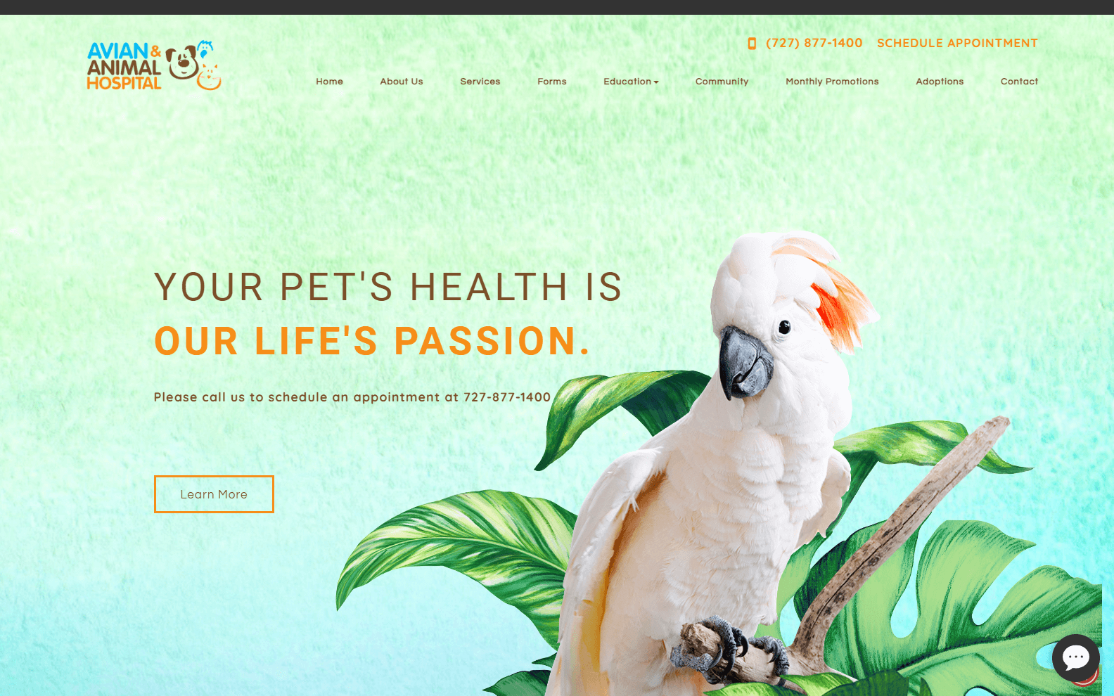 best veterinary website designs
