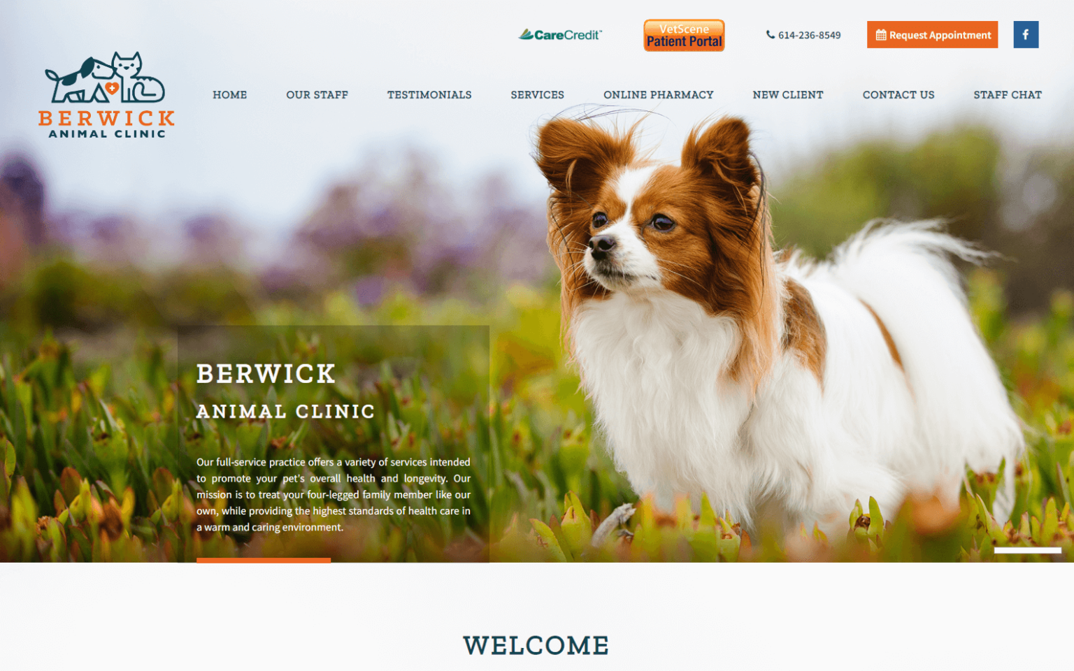 Veterinary site Designs 40 Best Veterinarian sites