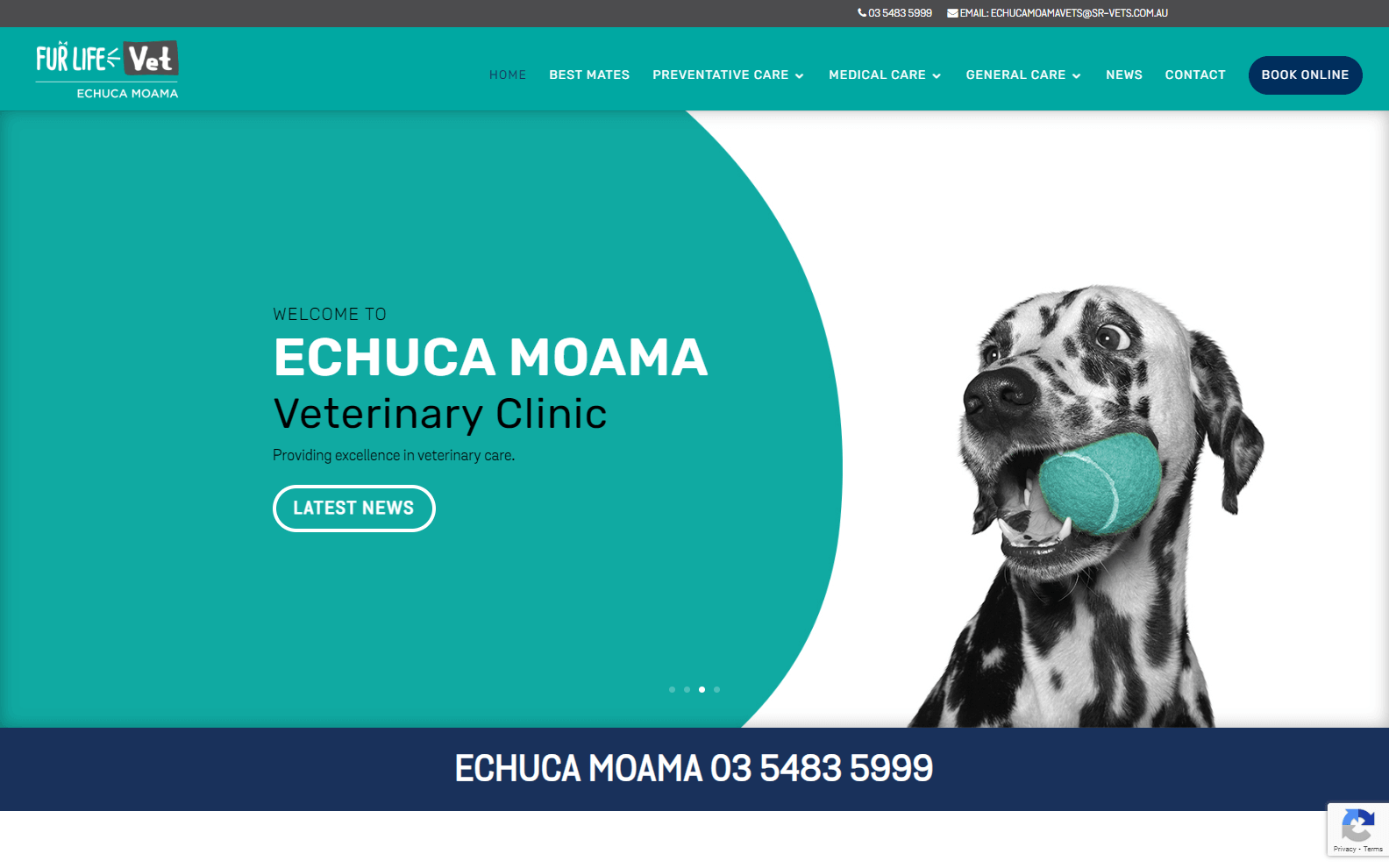 Veterinary Websites for Inspiration