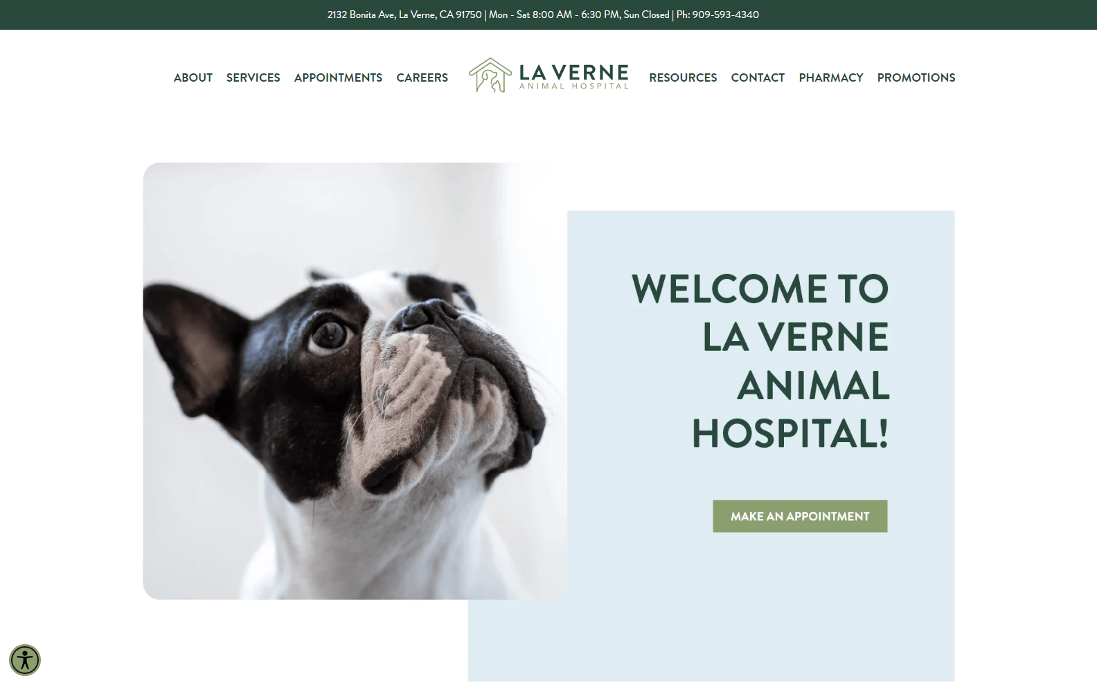 animals wellness website