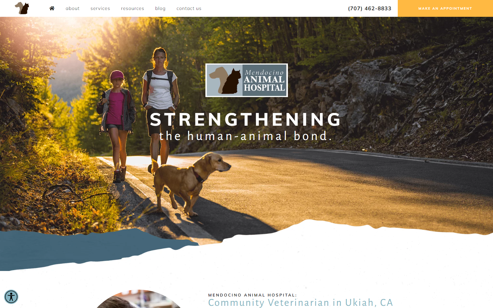veterinary website designs