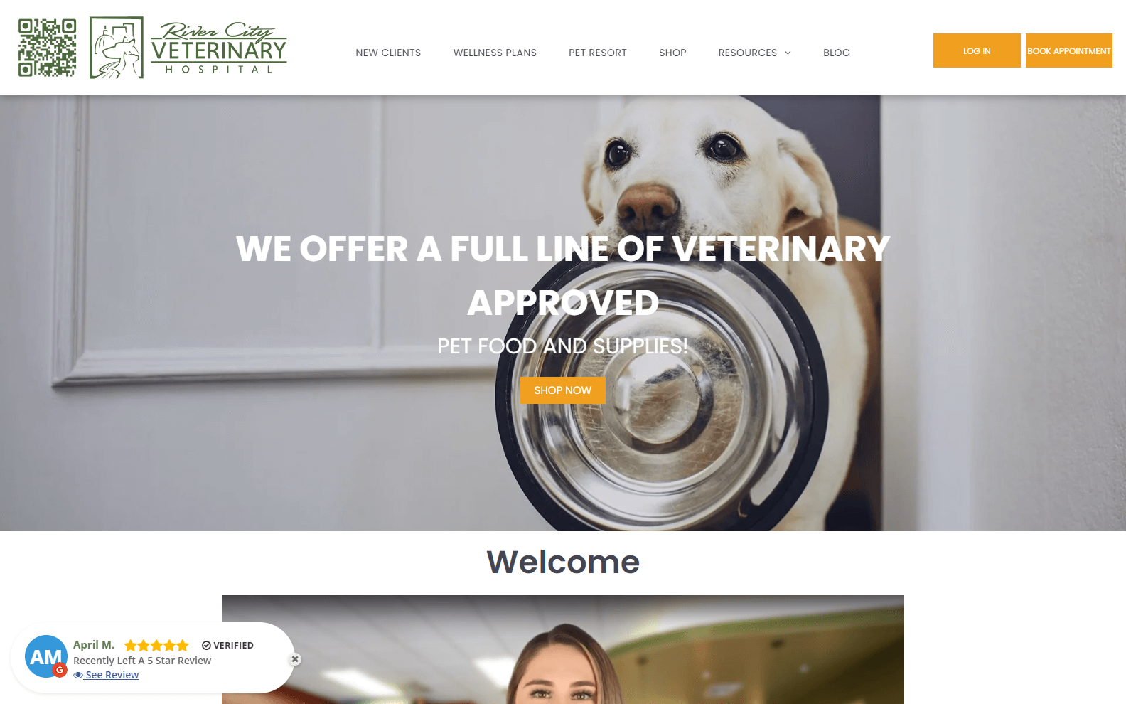 veterinary website designs