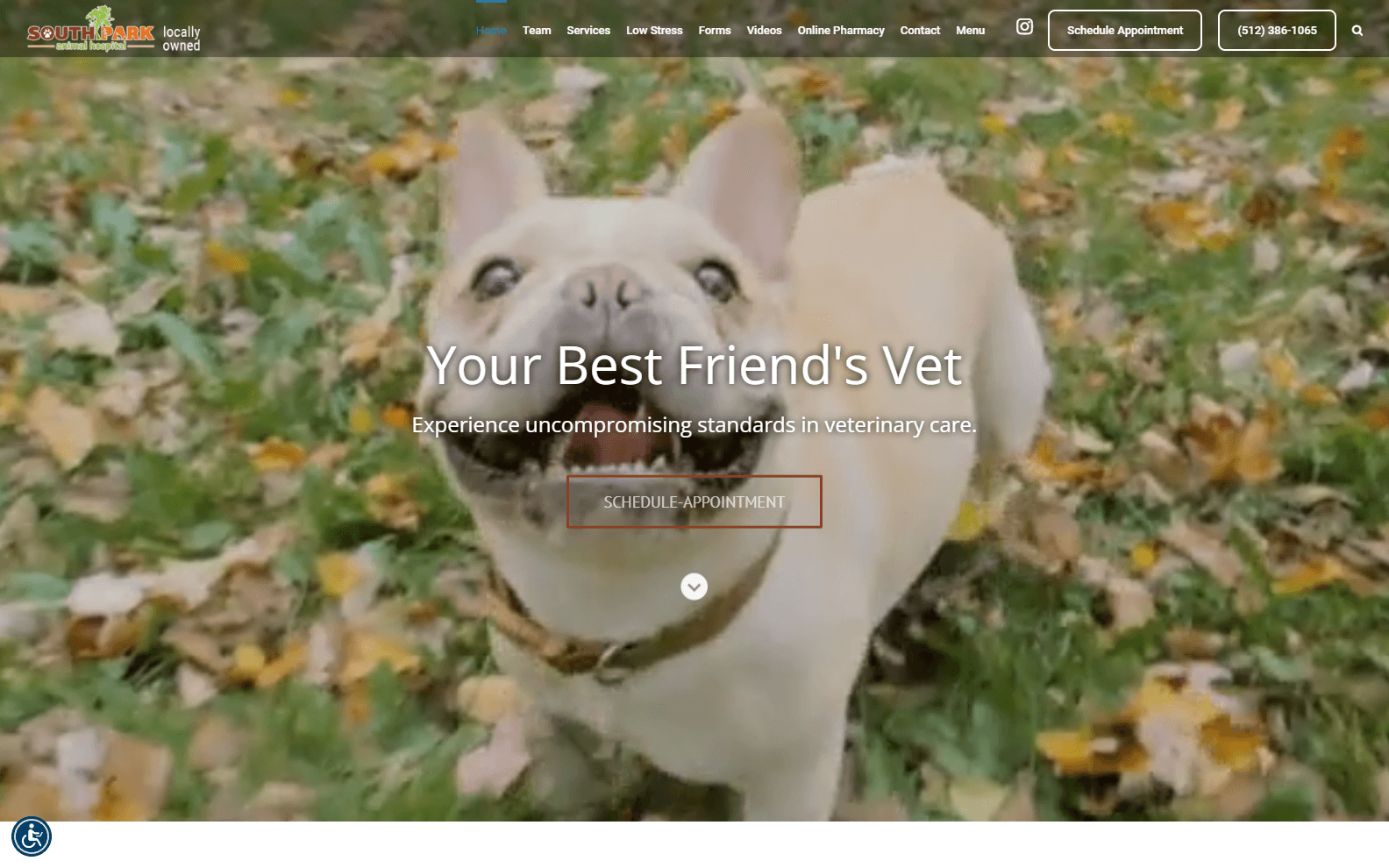 pets health services website
