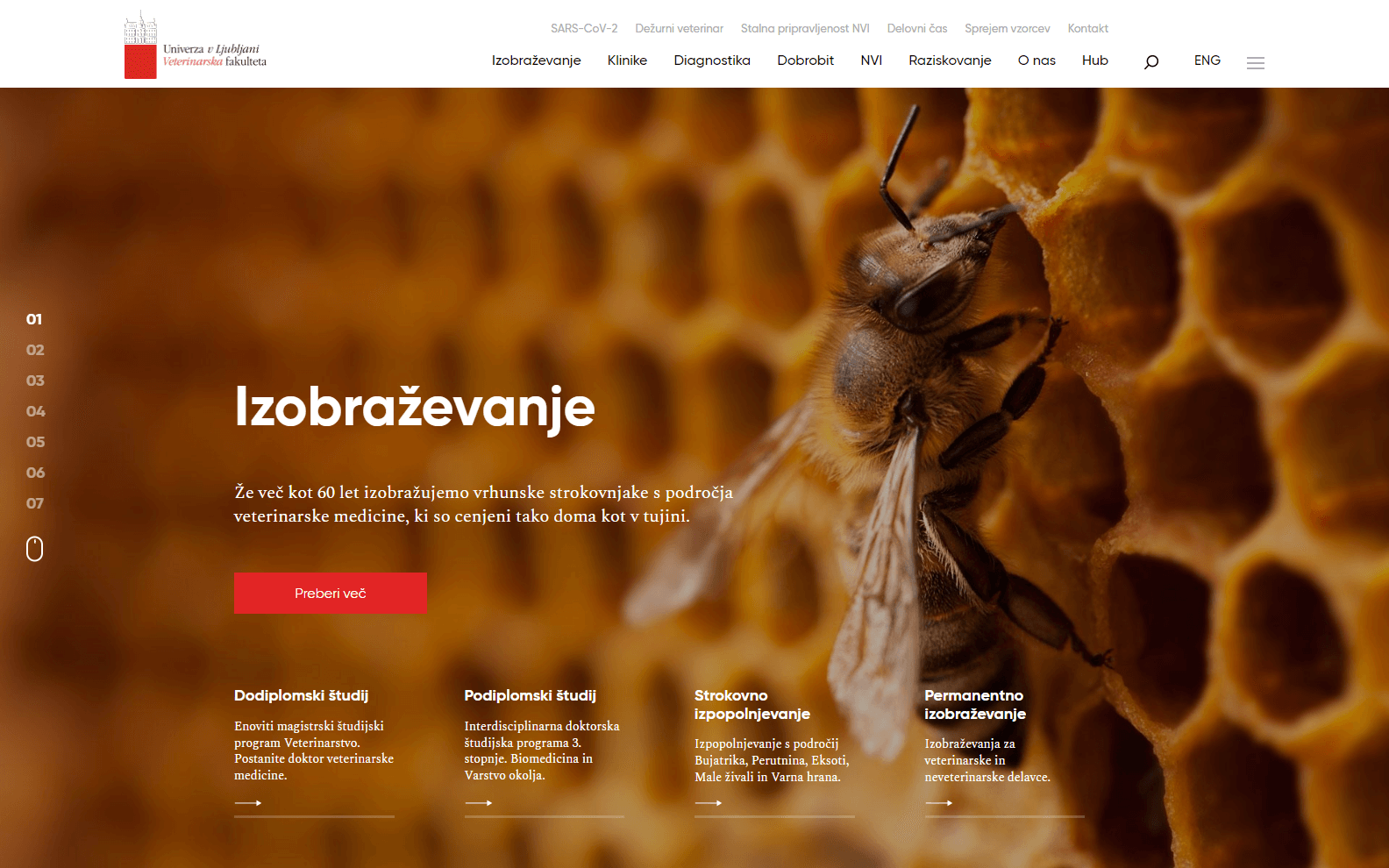 best veterinary website designs