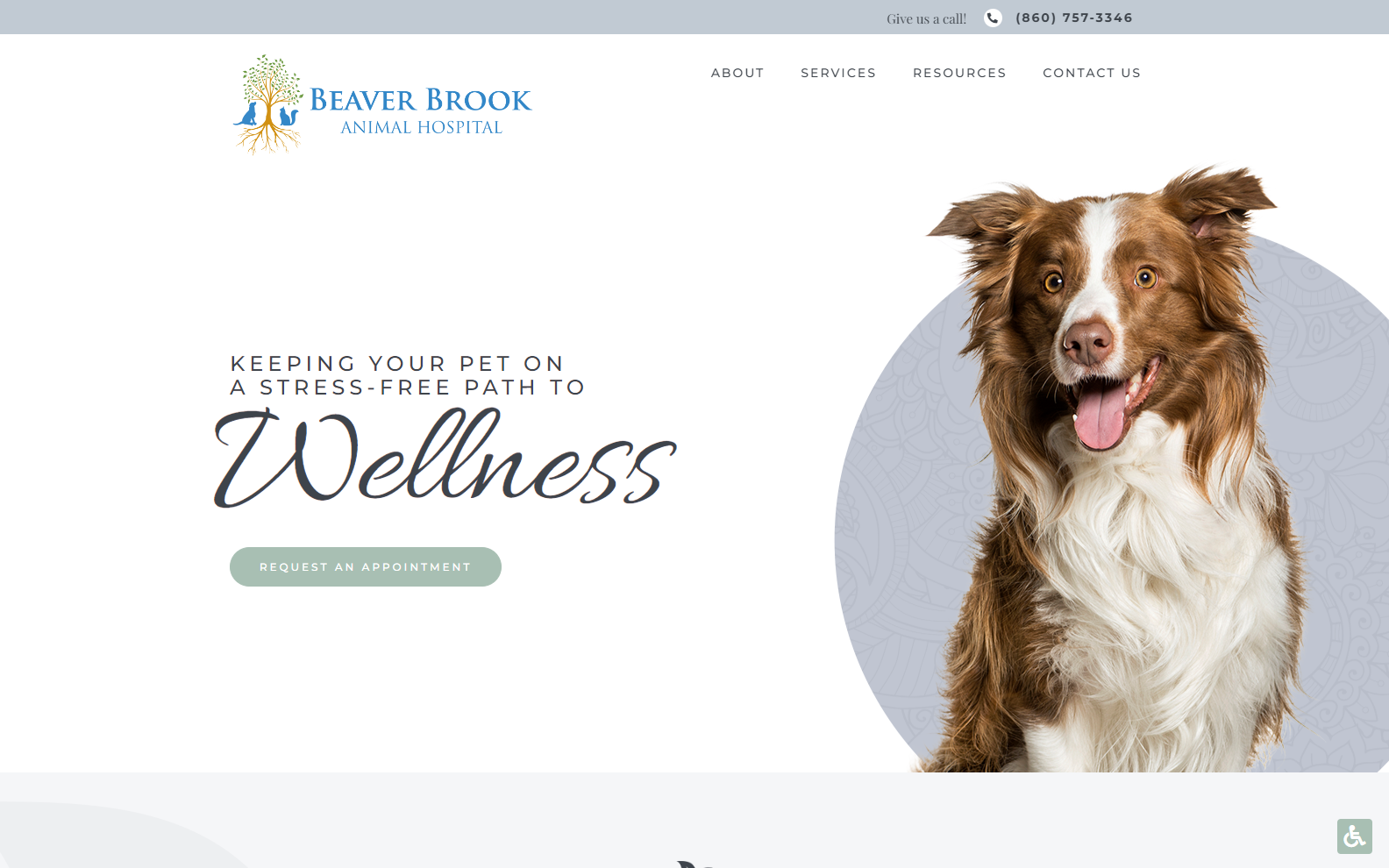 Veterinary Website Designs | 40 Best Veterinarian Websites